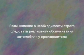 Размышление о необходимости строго следовать регламенту обслуживания автомобиля у производителя